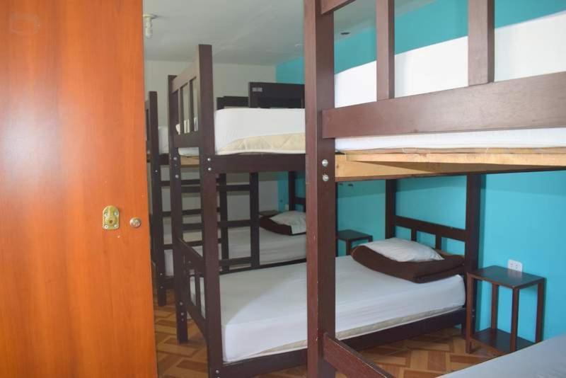 Mango Hostel B&B Arequipa Dış mekan fotoğraf
