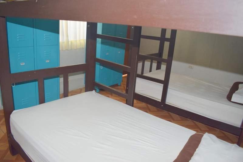 Mango Hostel B&B Arequipa Dış mekan fotoğraf