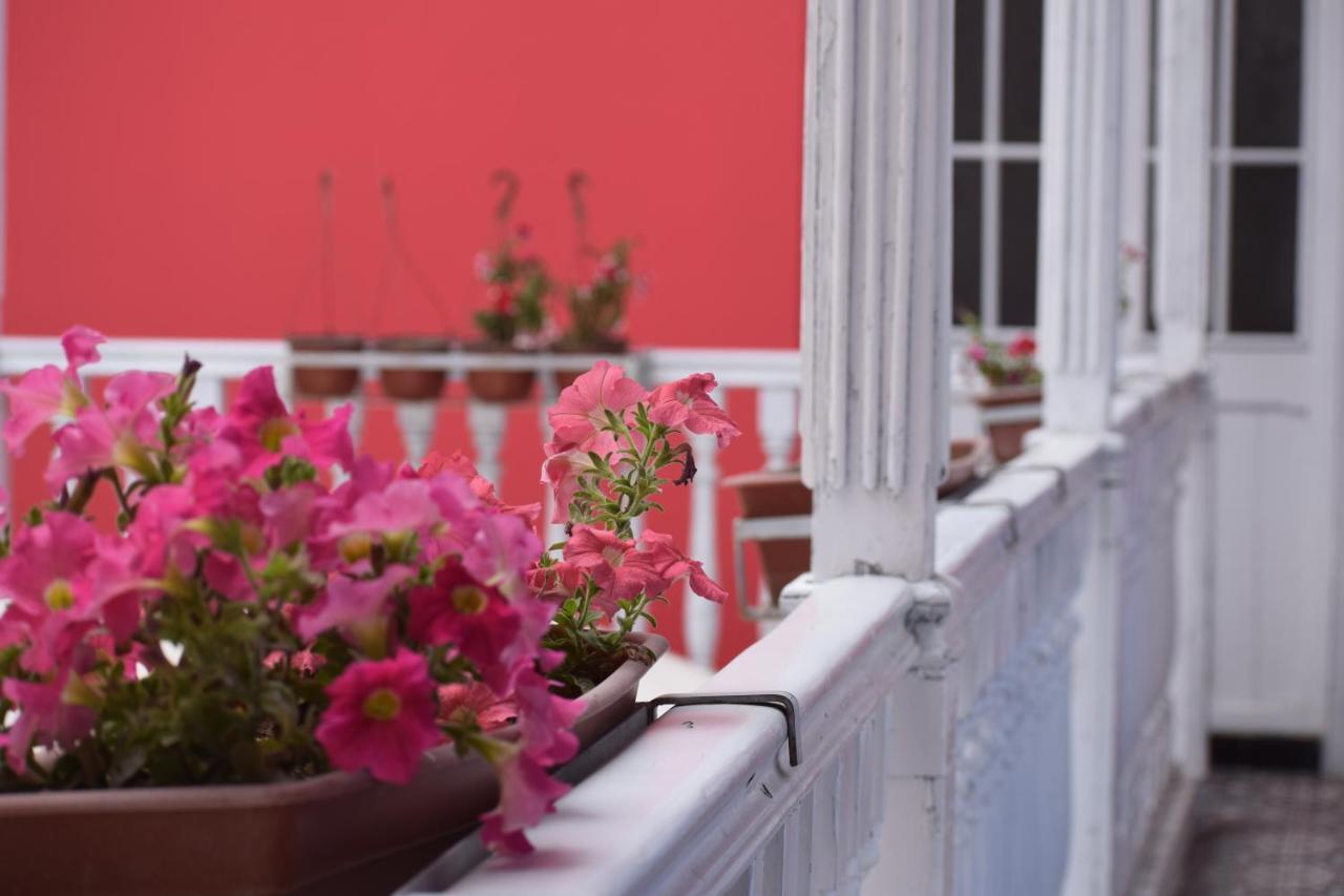 Mango Hostel B&B Arequipa Dış mekan fotoğraf